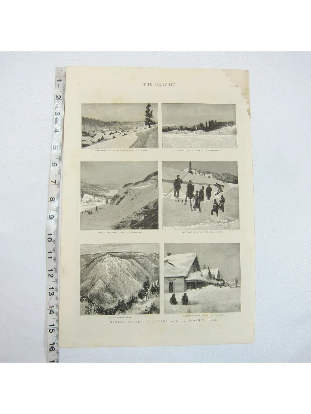 Antique 1885 Print 